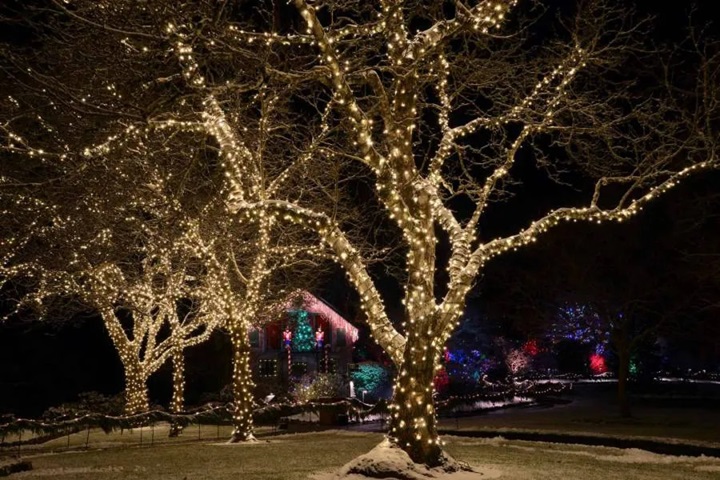 Victoria Christmas light tour @ Globalduniya 